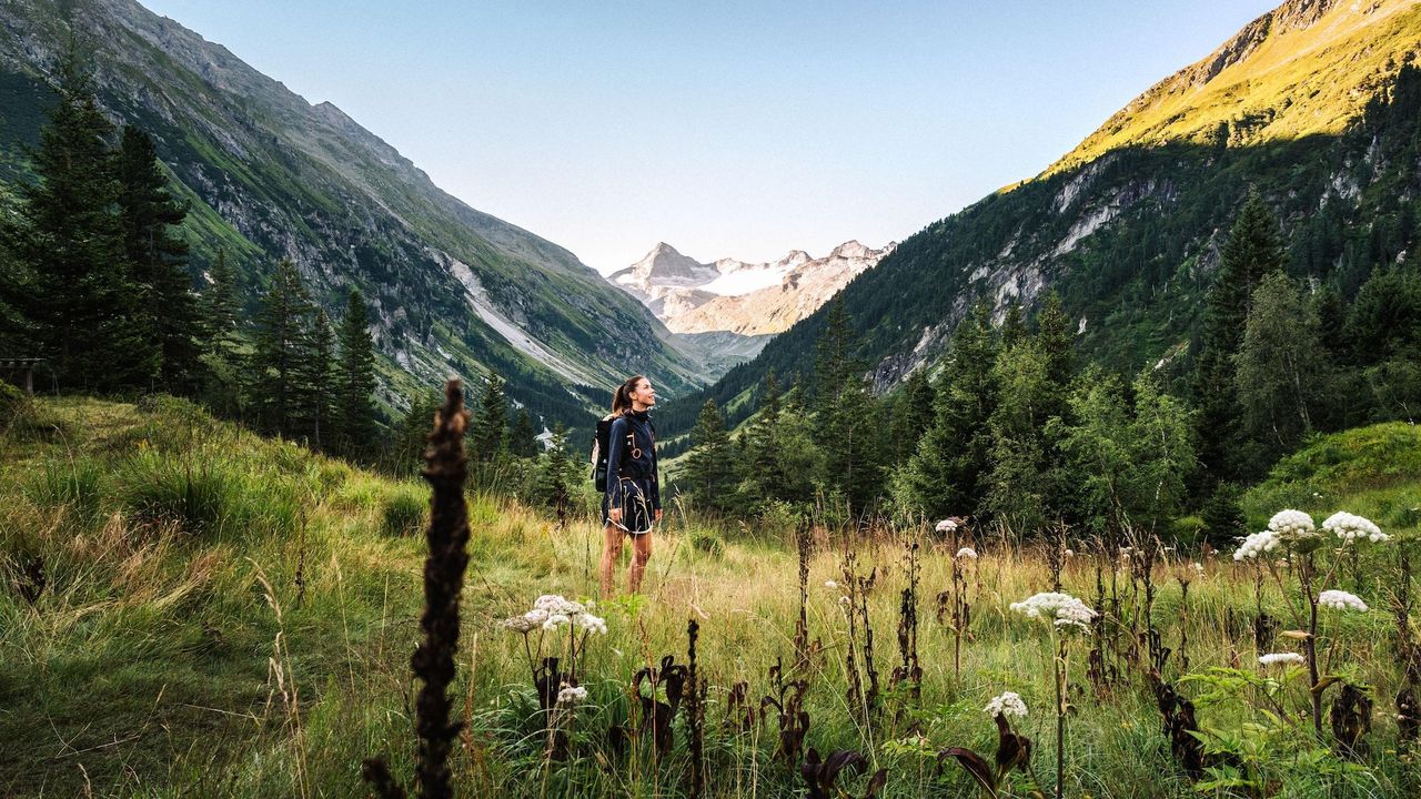 AreaSummer1KM AreaSummer1KM